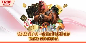 Đá Gà Cúp C1 - Giải Đấu Đỉnh Cao Trong Giới Chọi Gà